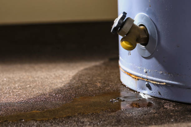 Best Emergency water damage restoration  in White Knoll, SC