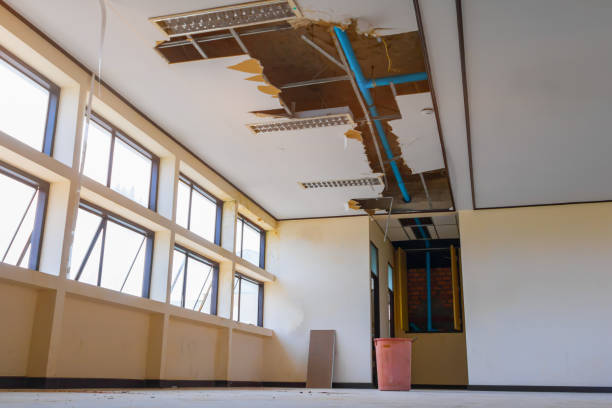 Best Commercial water damage restoration  in White Knoll, SC