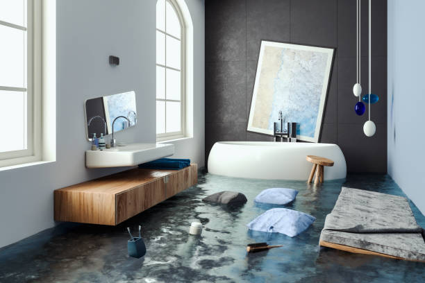 Best Professional water damage repair  in White Knoll, SC