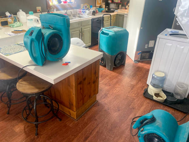 Best Flooded house restoration  in White Knoll, SC