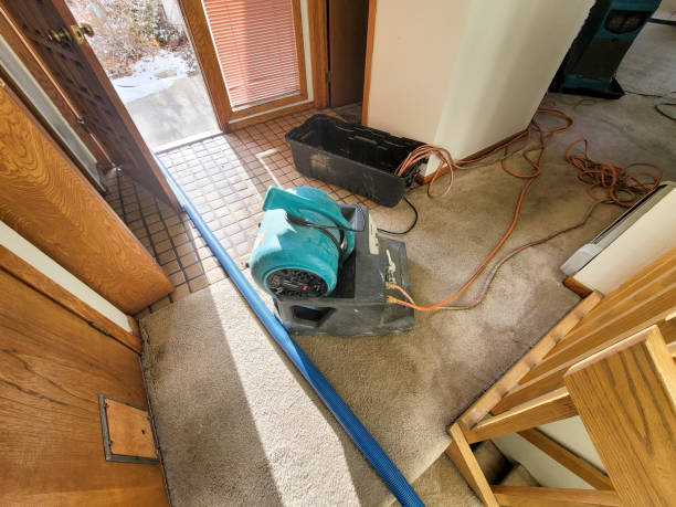 Professional Water damage restoration in White Knoll, SC
