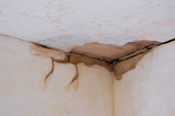 Best Water damage restoration specialists  in White Knoll, SC