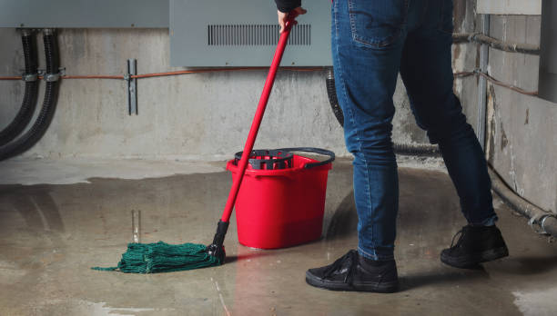 Best Water damage cleanup near me  in White Knoll, SC