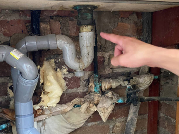 White Knoll, SC Water damage restoration Company