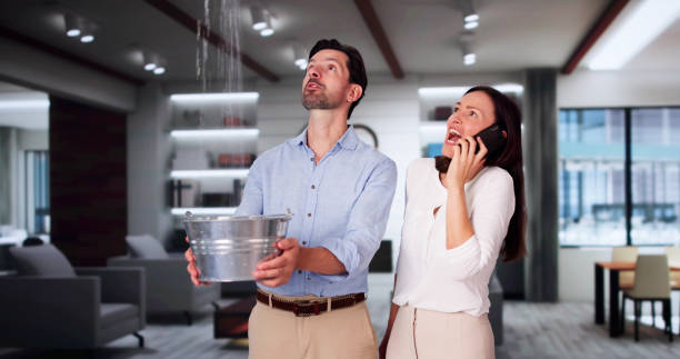 Best Water damage restoration near me  in White Knoll, SC